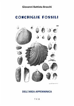 Conchiglie fossili (eBook, ePUB) - Battista Brocchi, Giovanni