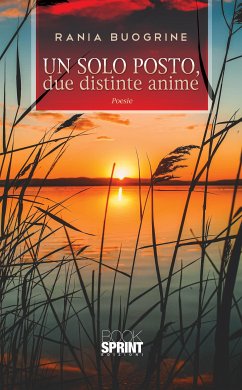 Un solo posto, due distinte anime (eBook, ePUB) - Buogrine, Raina