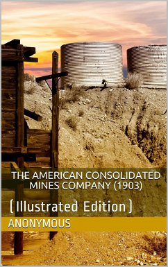 The American Consolidated Mines Company (1903) (eBook, PDF) - anonymous