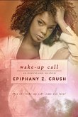 Wake-up Call (eBook, ePUB)