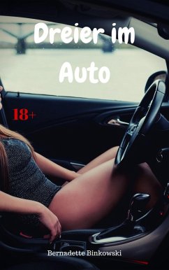 Cover Dreier im Auto (eBook, ePUB)