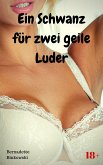 Ein Schwanz für zwei geile Luder (eBook, ePUB)