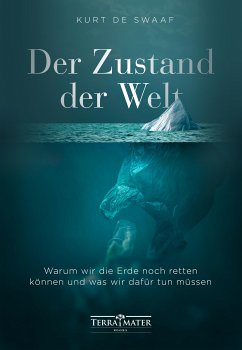 Der Zustand der Welt (eBook, ePUB) - de Swaaf, Kurt