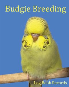Budgie Breeding - Addicts, Bird