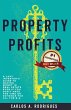 Property Profits - Bild 1