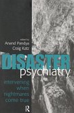 Disaster Psychiatry (eBook, ePUB)