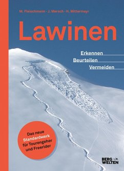 Lawinen (eBook, ePUB) - Mersch, Jan; Fleischmann, Markus; Mittermayer, Helmut