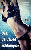 Drei versaute Schlampen (eBook, ePUB)