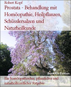 Prostata - Behandlung mit Homöopathie, Heilpflanzen, Schüsslersalzen und Naturheilkunde (eBook, ePUB) - Kopf, Robert