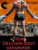 Vom Drachen-Biest genommen (eBook, ePUB)