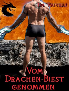 Vom Drachen-Biest genommen (eBook, ePUB) - Touville, Tim