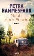 Nach dem Feuer (eBook, ePUB) - Bild 1