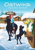 Chaos auf dem Wintermarkt / Ostwind für Erstleser Bd.8 (eBook, ePUB)