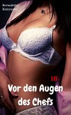 Vor den Augen des Chefs (eBook, ePUB)