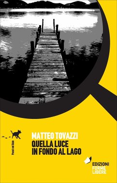 Quella luce in fondo al lago (eBook, ePUB) - Tovazzi, Matteo