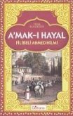 Amak-i Hayal