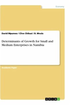 Determinants of Growth for Small and Medium Enterprises in Namibia - Mpunwa, David;Mvula, B.;Chikusi, Clive
