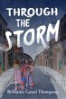Through the Storm (eBook, ePUB) - Bild 1