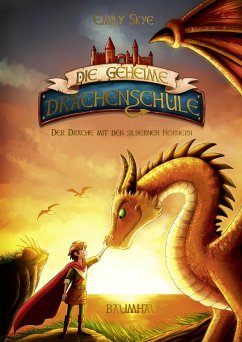 Der Drache mit den silbernen Hörnern / Die geheime Drachenschule Bd.2 (eBook, ePUB) - Skye, Emily