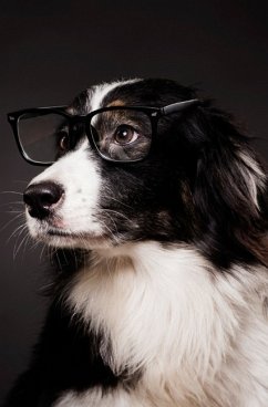 Süßes Hunde Notizbuch Businessplaner Geschenkidee für Mann Frau und Kind - Health, Notizbuch