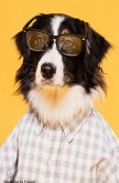Süßes Hunde Notizbuch Businessplaner Geschenkidee für Mann Frau und Kind