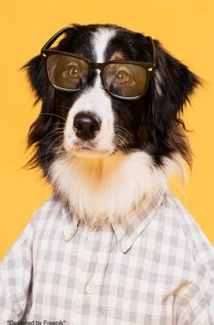 Süßes Hunde Notizbuch Businessplaner Geschenkidee für Mann Frau und Kind - Health, Notizbuch