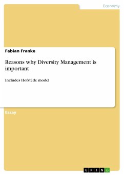 Reasons why Diversity Management is important (eBook, PDF) - Franke, Fabian