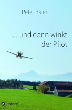 Cover ... und dann winkt der Pilot (eBook, ePUB)