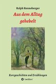 Aus dem Alltag gehebelt (eBook, ePUB)