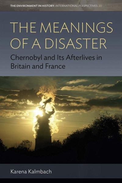 The Meanings of a Disaster (eBook, ePUB)