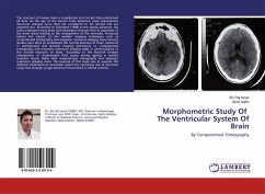 Morphometric Study Of The Ventricular System Of Brain