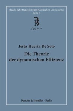 Cover Die Theorie der dynamischen Effizienz