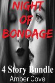 Night of Bondage 4 Story Bundle (eBook, ePUB)