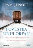 Povestea Unui Orfan (eBook, ePUB)