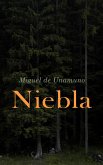 Niebla (Nivola) (eBook, ePUB)
