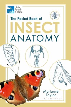 The Pocket Book of Insect Anatomy (eBook, PDF) - Taylor, Marianne