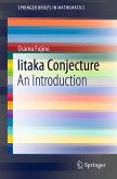 Iitaka Conjecture (eBook, PDF)