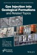 Gas Injection into Geological... - Bild 1