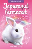 IEPURAȘUL FERMECAT. În căutarea unui prieten (eBook, ePUB)