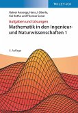Mathematik in den Ingenieur- und Naturwissenschaften 1 (eBook, ePUB)