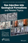 Gas Injection into Geological Formations and Related Topics (eBook, PDF)
