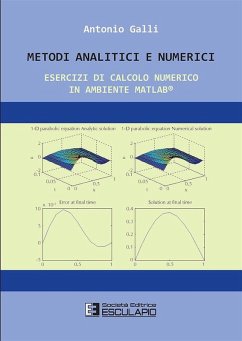Cover Metodi Analitici e Numerici. Esercizi di calcolo numerico in ambiente Matlab (eBook, ePUB)