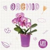 Orchid Orchid