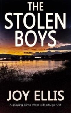 The Stolen Boys - Ellis, Joy