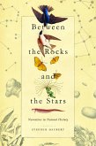 Between the Rocks and the Stars (eBook, PDF)
