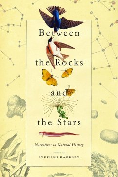 Between the Rocks and the Stars (eBook, PDF) - Daubert, Stephen