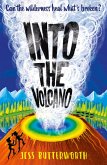 Into the Volcano (eBook, ePUB)
