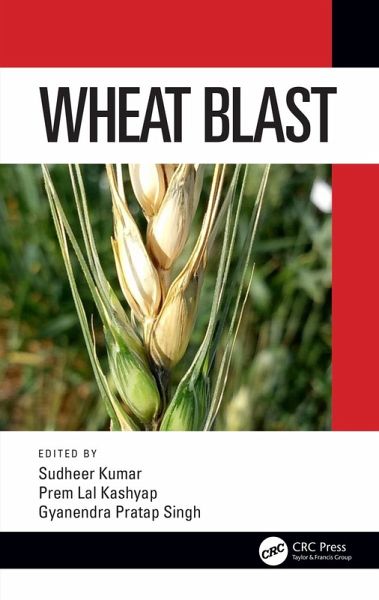 Wheat Blast (eBook, PDF) Wheat Blast (eBook, PDF)