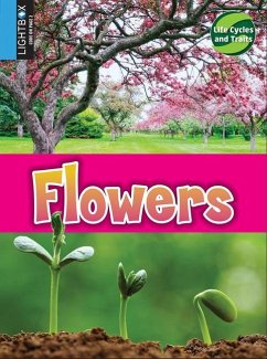 Flowers - Hutmacher, Kimberly M