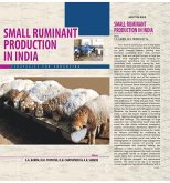 Small Ruminant Production in India (eBook, ePUB) Small Ruminant Production in India (eBook, ePUB)